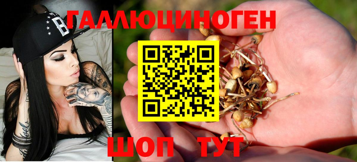 Галлюциногенные грибы мицелий Златоуст
