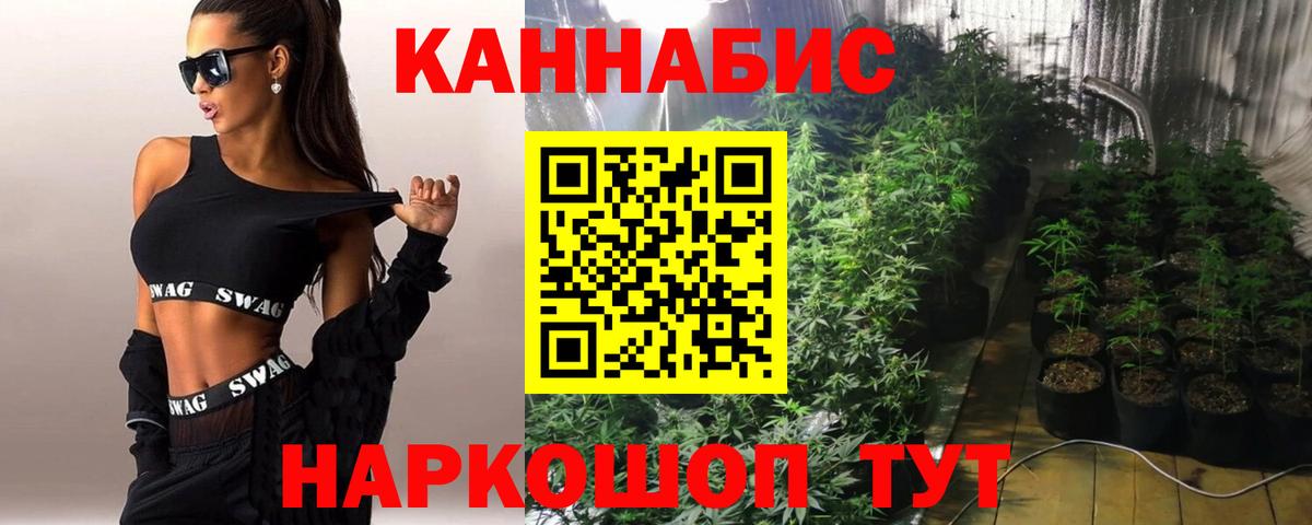 Златоуст  Конопля Bruce Banner  Конопля White Widow  Вход с VPN  Бошки марихуана White Widow 